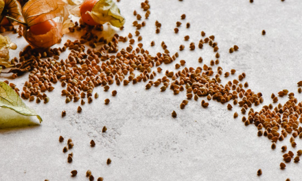 Want To Start A Food Business? Start A Gluten Free Business!